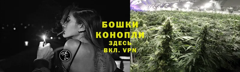 цена наркотик  Буй  Канабис SATIVA & INDICA 